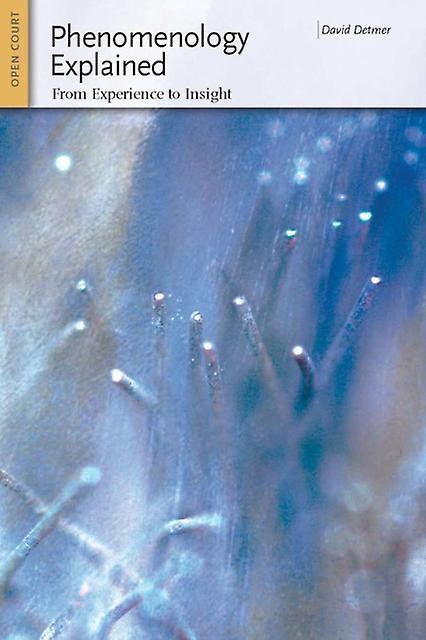 Phenomenology Explained by David Detmer Paperback