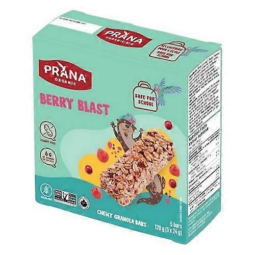 Prana Barres granola moelleuses biologiques Berry Blast, 5 x 24 grammes (caisse de 12)