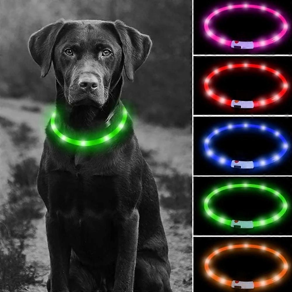 Selvlysende hundehalsbånd til kæledyr