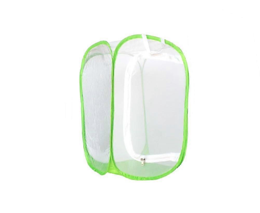 Foldable Mesh Cage, Medium-Sized Outdoor Insect Trap and Observation Cage, Green