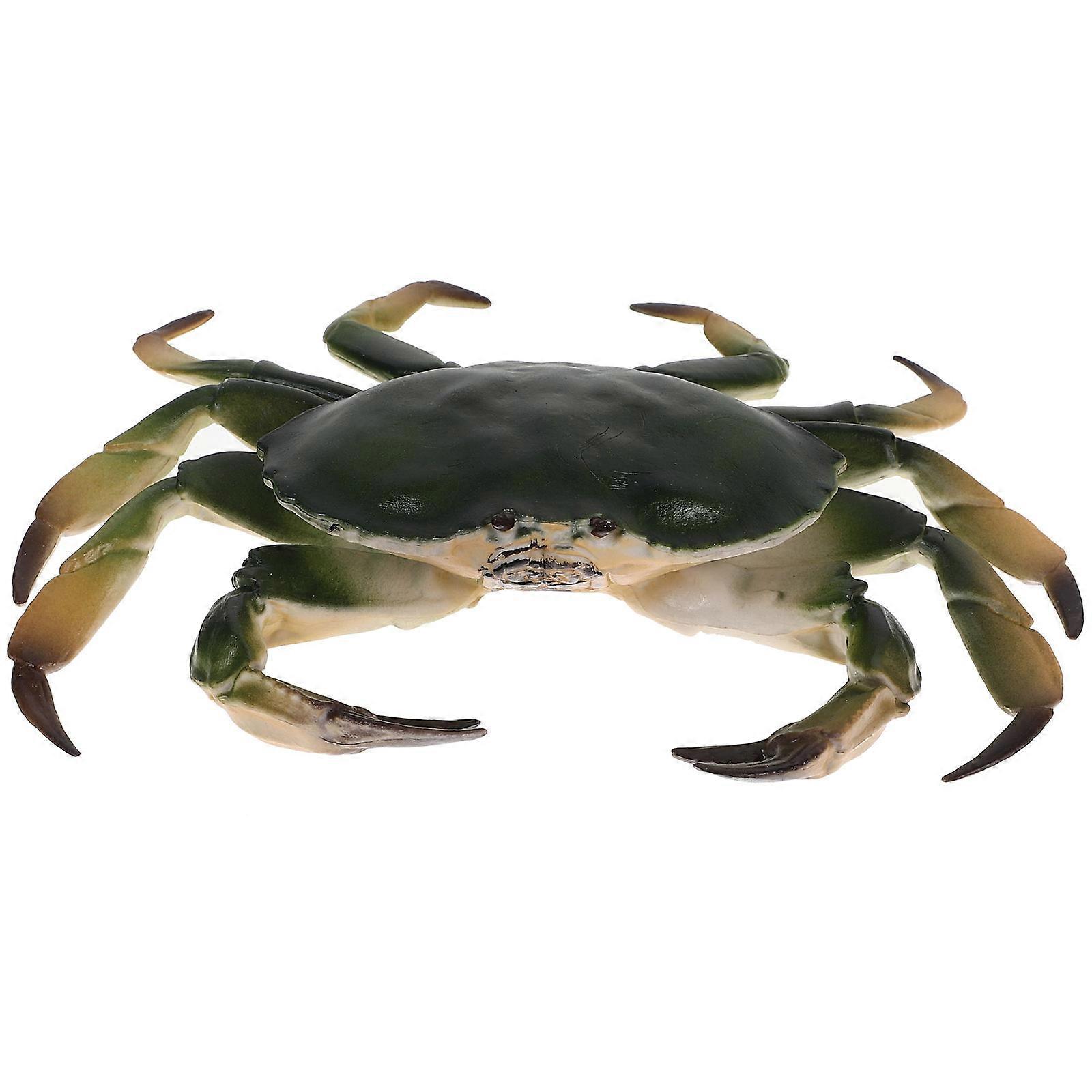 Realistic Simulation Crab Model Plastic Crab Model for Decoration 5Pcs