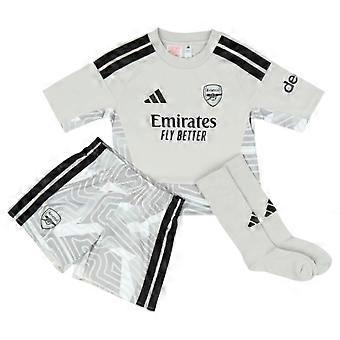 2026-2027 Arsenal Home Goalkeeper Mini Kit (Grey)