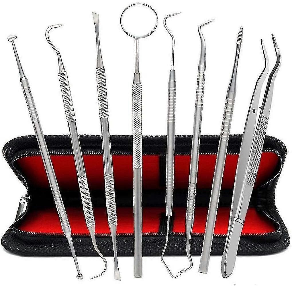 Ensemble de 8 instruments dentaires en acier inoxydable