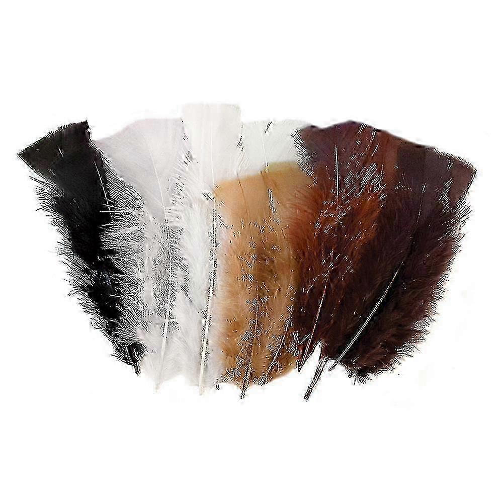 2025 Creative School Supply Feathers 60g 240pcs