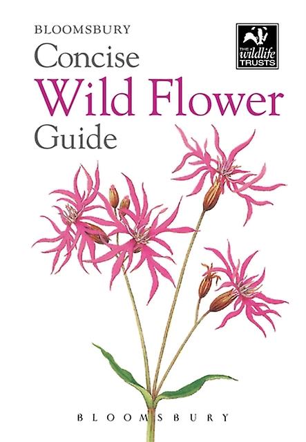 Concise Wild Flower Guide by Bloomsbury Paperback