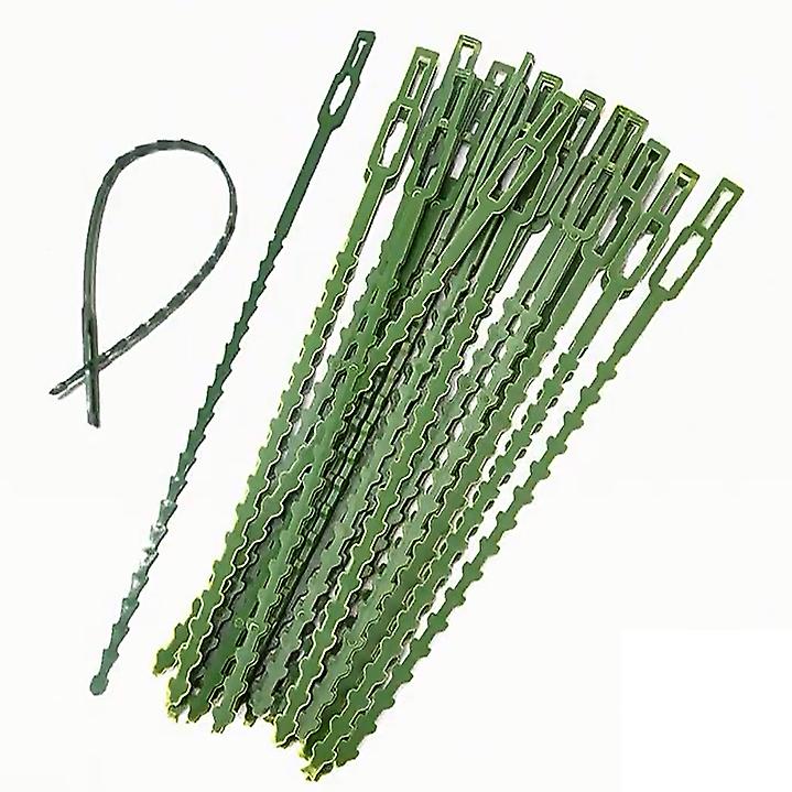 INF Buntband för Klätterväxter, 50-pack