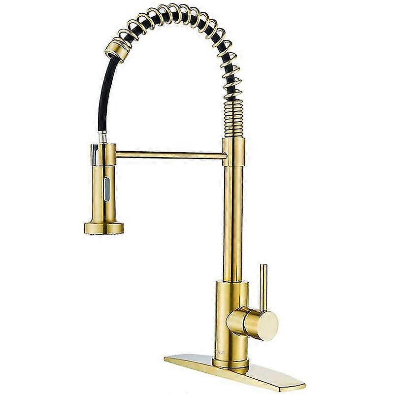 Kitchen Sink Mixer Tap, Spring Kitchen Faucet With Pull Down Sprayer, 2 Spray Modes High Arc Single Handle Lever Kitchen Tap