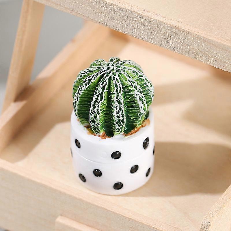 Cactus potting indoor tabletop succulent plants small potted cactus micro landscape ecological bottle DIY ornaments