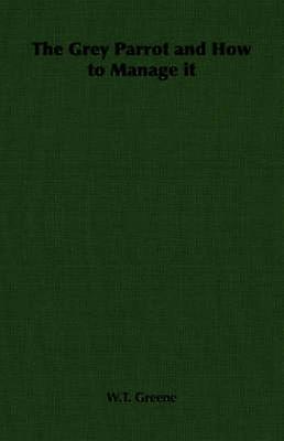 Den grå papegojan och hur man hanterar den