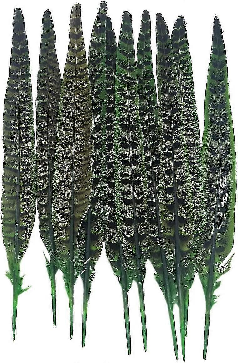 10 Pcs/lot Natural Pheasant Tail Feathers 23-27cm/9-11 Quot Decoration For Jewelry Diy Headdress Clothes Dress Crafts Plumes-Good