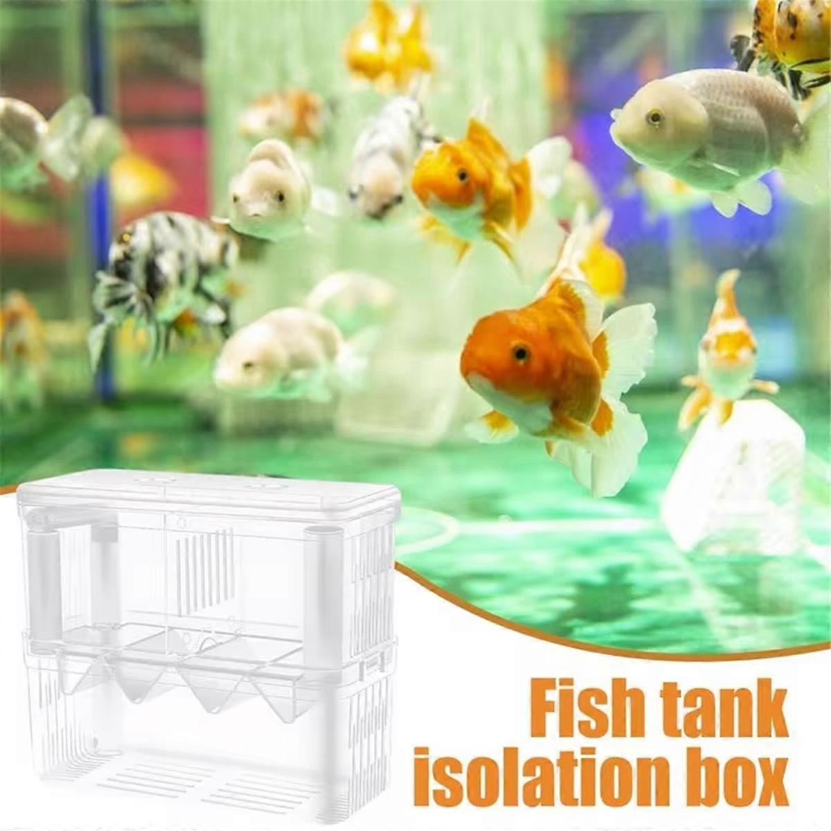 Fish Breeding Box Double-Layer Acrylic Breeding Tank Isolation Box
