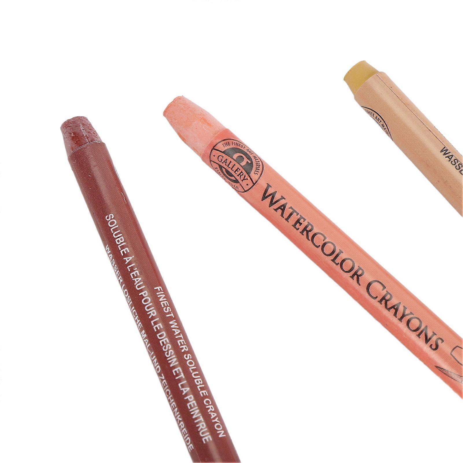 Art Watercolor Crayon Set Portable Professional Silky Watercolor Crayon Sticks for Papers 24 Colors