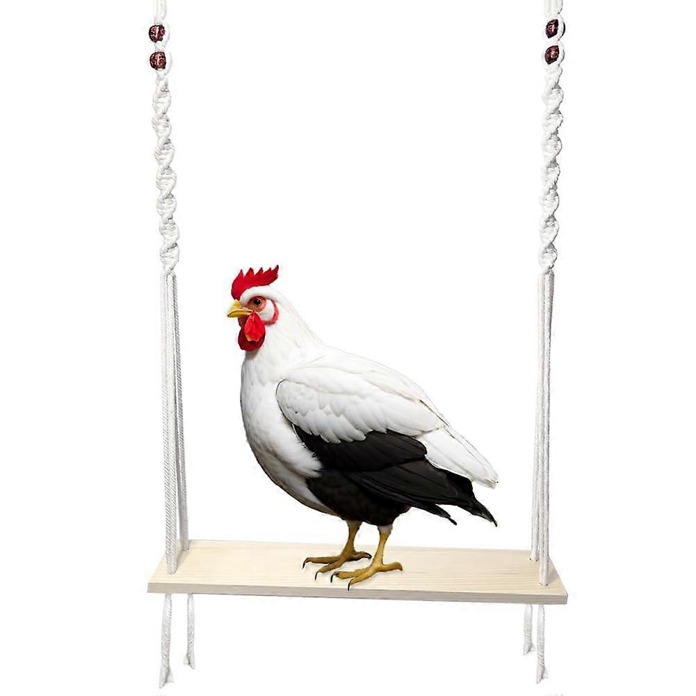 Swing Toy for Large Chicken Coop, Enrichment Toy for Hens and Roosters, Chicken Coop Accessory