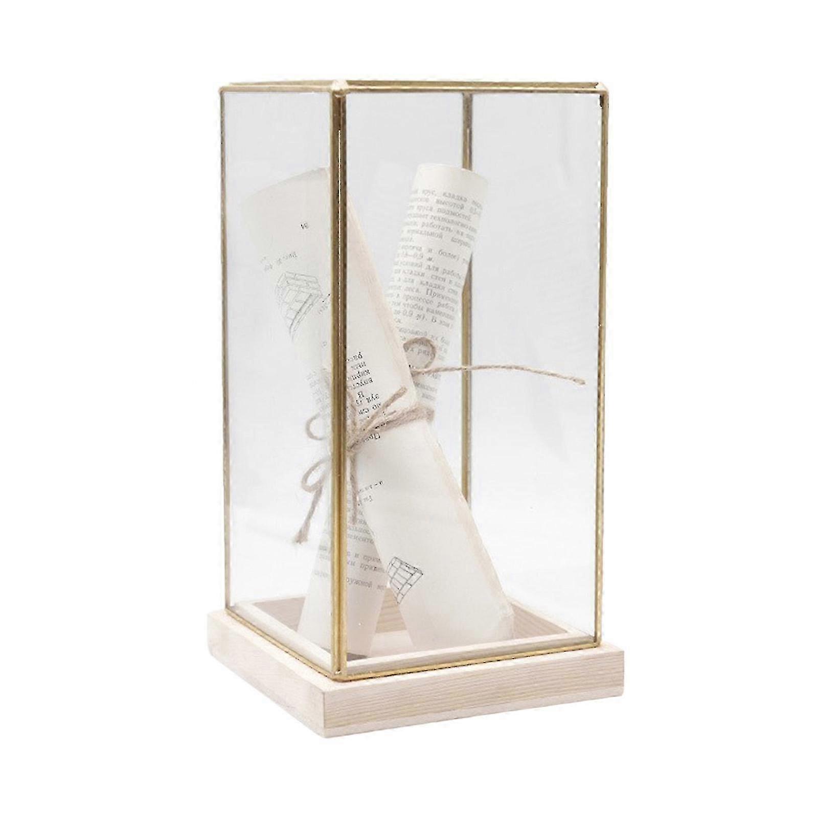 Glass Domes Display Case for Collectibles Art for Interior Designs Enthusiasts Art Display Room Craftwork