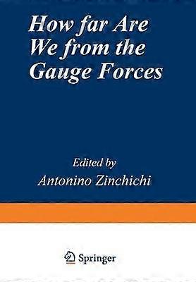 How Far Are We from the Gauge Forces