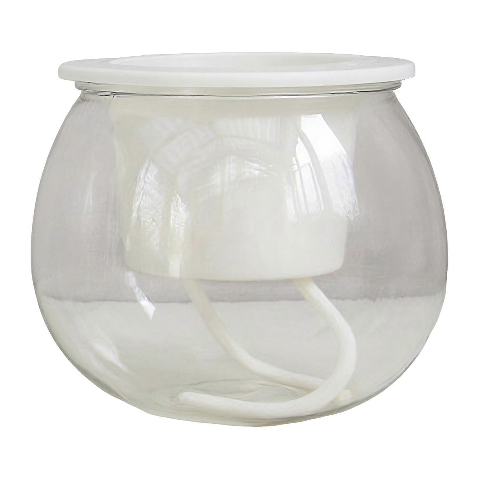 Clear Water Level Planter for Indoor Flowers - Automatic Hydration