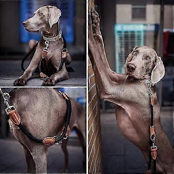 Multi-purpose Hands-free Dog Leash (7ft) - Strong Dog Training Leash, 1.4cm Thick Nylon Double Dog Leash, [3 Adjustable Lengths] Walking Running Long
