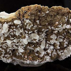 Siderite and Calcite on Dolomite 173.6 carats