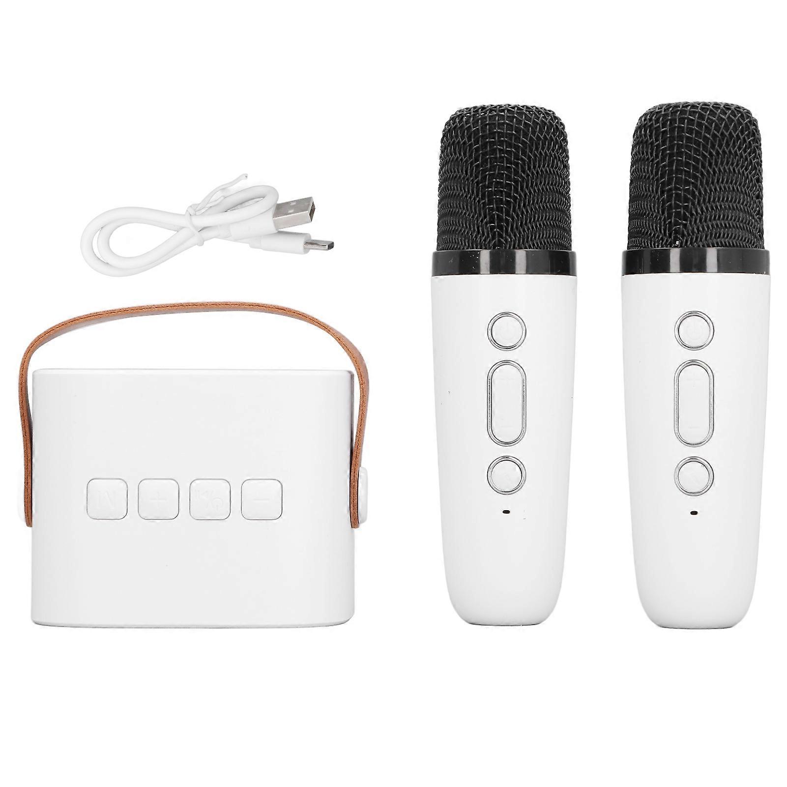 Kids Karaoke Machine Portable Versatile Long Endurance Dual Microphone Bluetooth Speaker for Party Birthday Outdoor