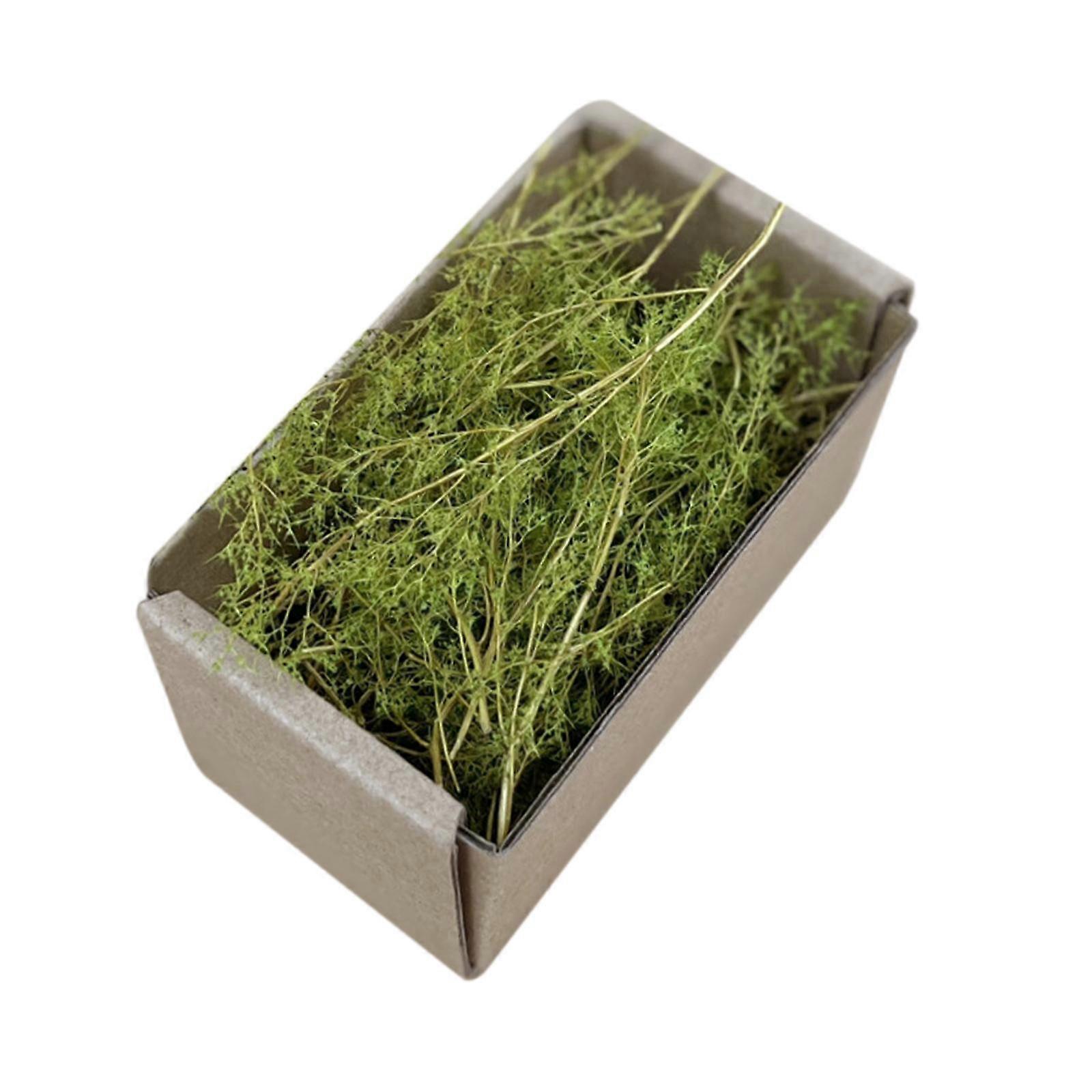 Realistic Miniature Grass Scenery DIY Model for Railways Fairy Garden Trains Spring