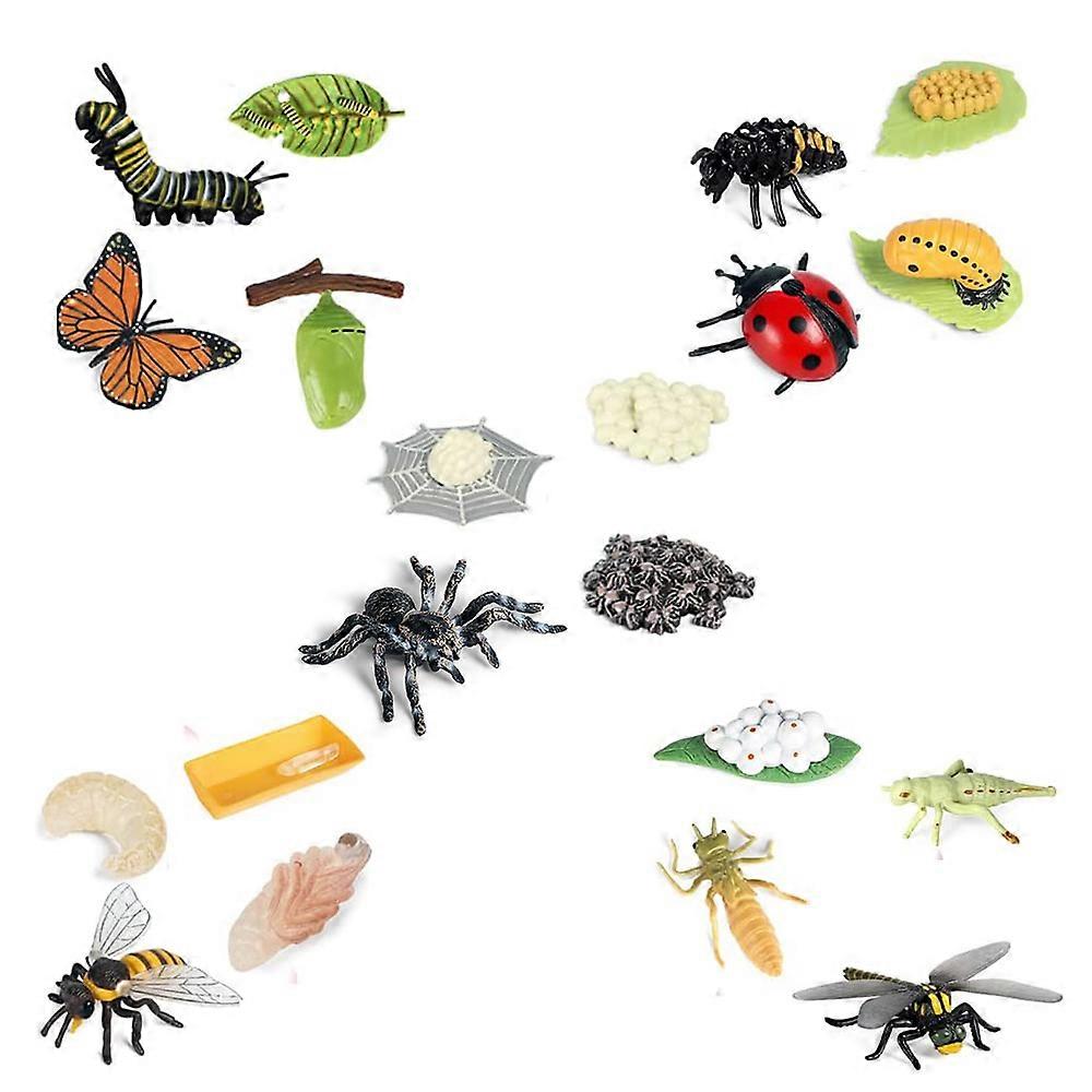 Life Cycle Figurines of Butterfly Spider Bee Ladybug Dragonfly, Plastic Insect Bug Figures Toy, Sch