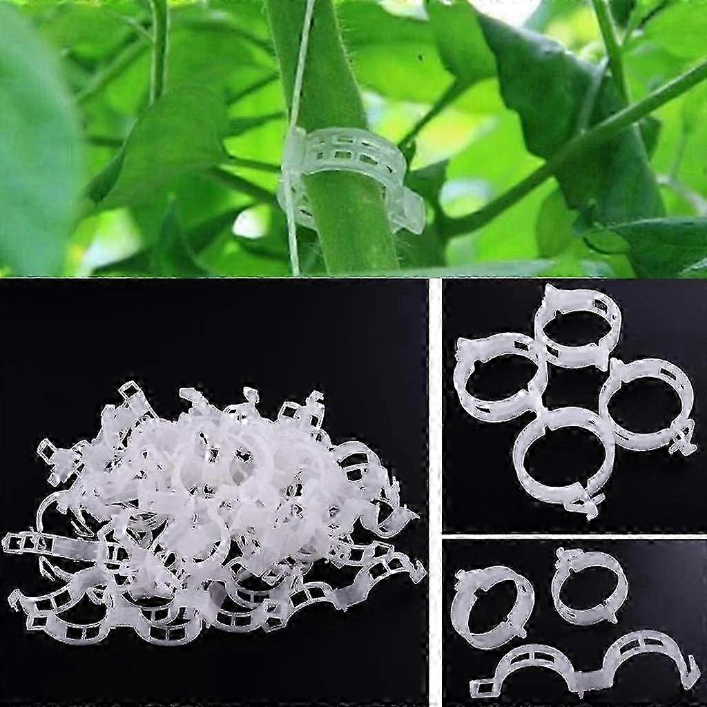 100pcs Plastic Plant Support Clips for Garden Vegetables