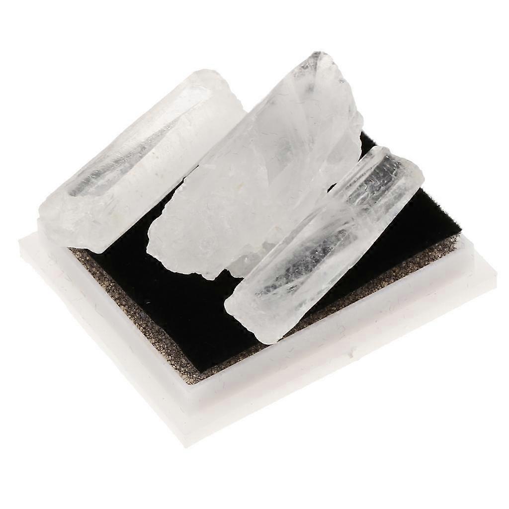 Earth Science Toy Rock & Mineral Collection with Clear Case - Clear Quartz