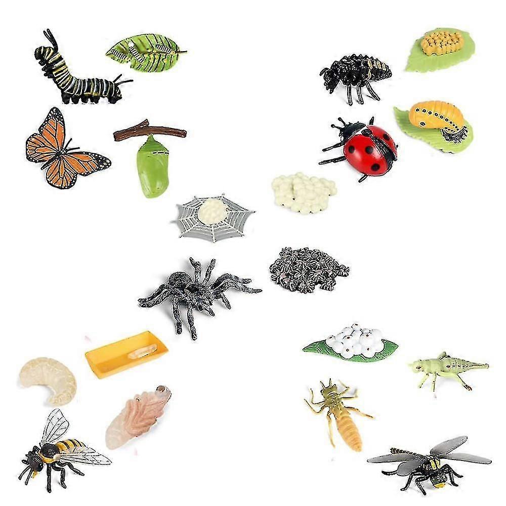 Life Cycle Figurines Of Butterfly Spider Bee Ladybug Dragonfly, Plastic Insect Bug Figures Toy, Sch