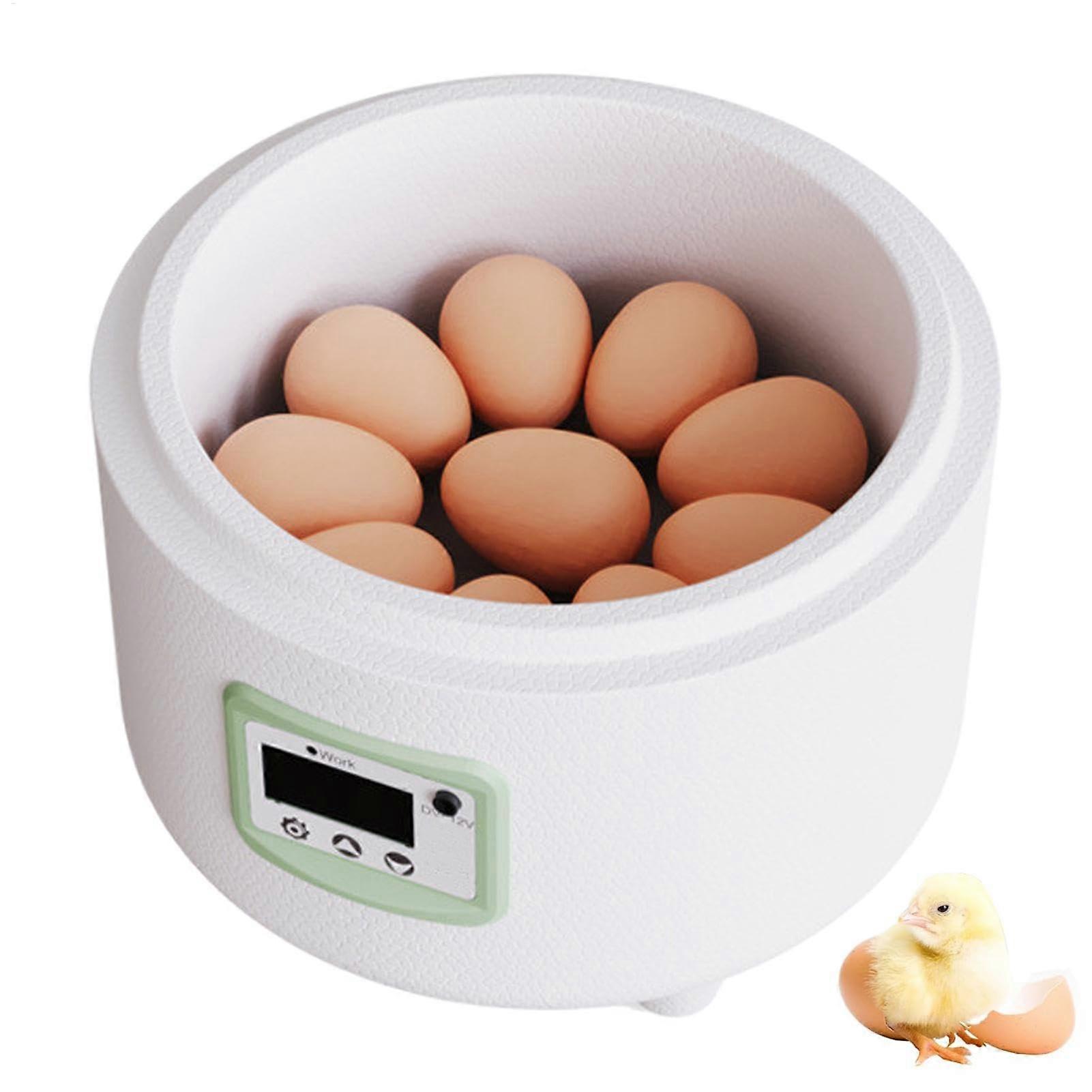 Automatic Egg Incubator with Temperature Control and Transparent Window for Chicken and Small Bird Eggs