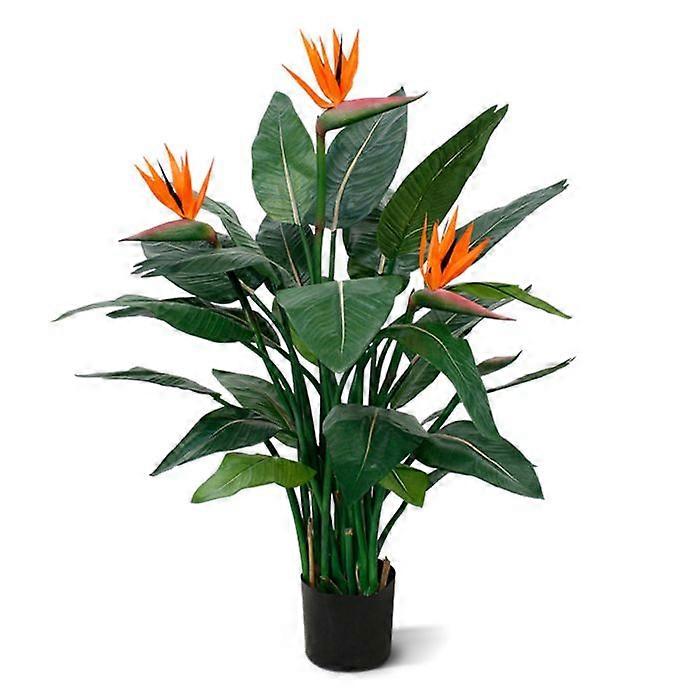 Strelitzia (115 cm)