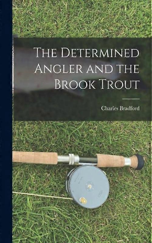 The Determined Angler And The Brook Trout