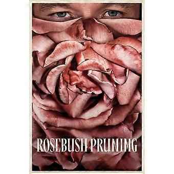 Rosebush Pruning (2026) Movie Brain-Teasing Puzzles BD-2162