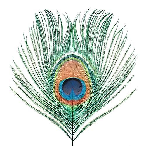 Xtc - Wasp Star (Apple Venus Vol. 1) [VINYL]