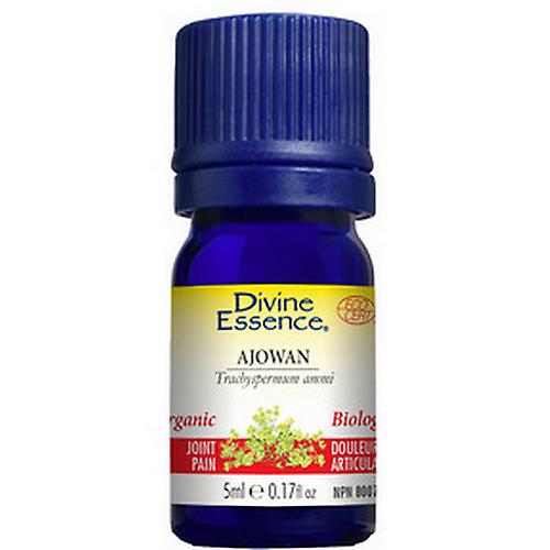 Divine Essence Organic Ajowan Essential Oil, 5 Ml (Pack of 2)