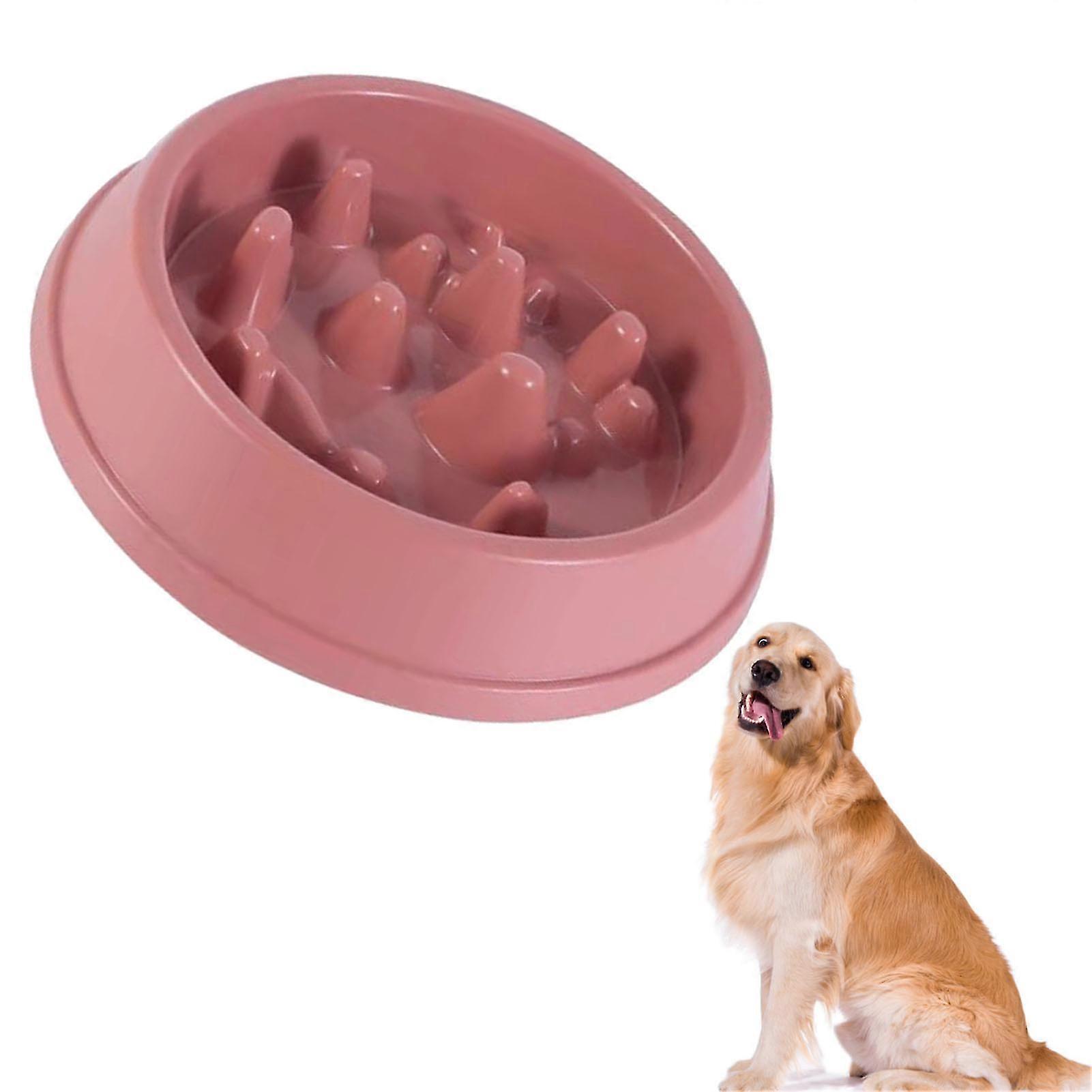 Pet Slow Feeder Bowl Prevent Choking Improve Digestion Slowing Eating ... - Conditioning Bowls Eating Slowing Gobble