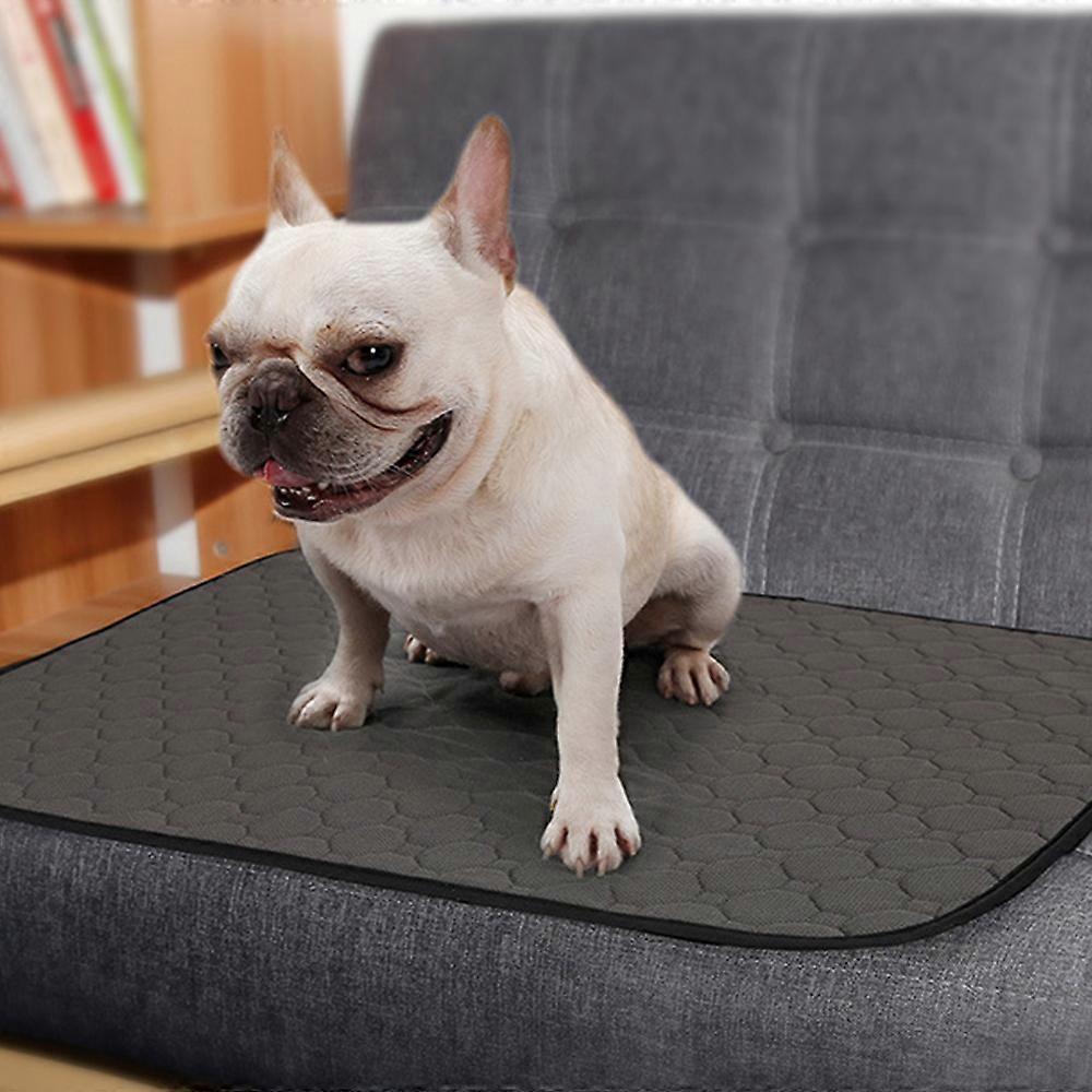 Cute reusable absorbent dog training urinal pad