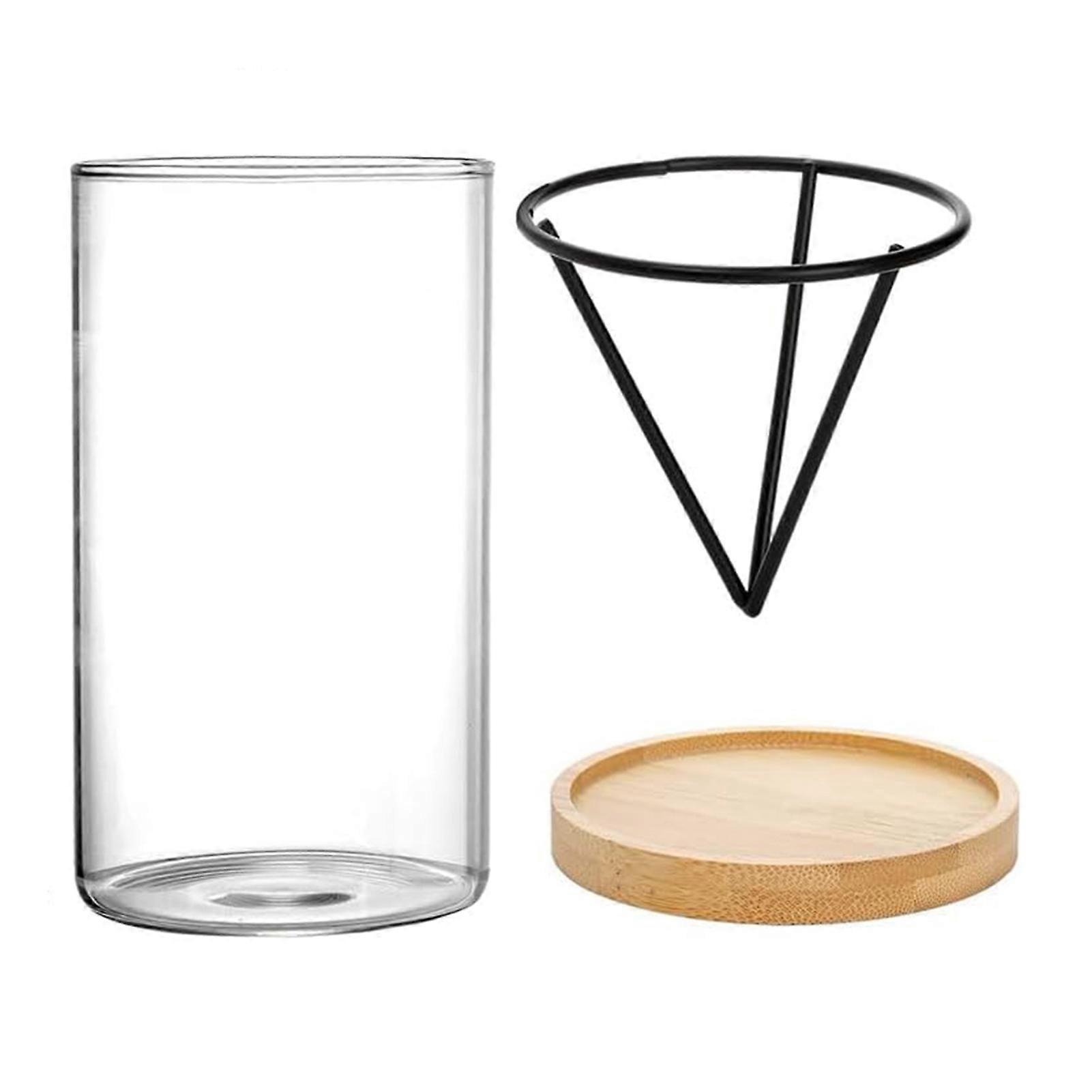 Avocado Tree Growing Kits Hydroponic Seed Holder Nursery Container Set