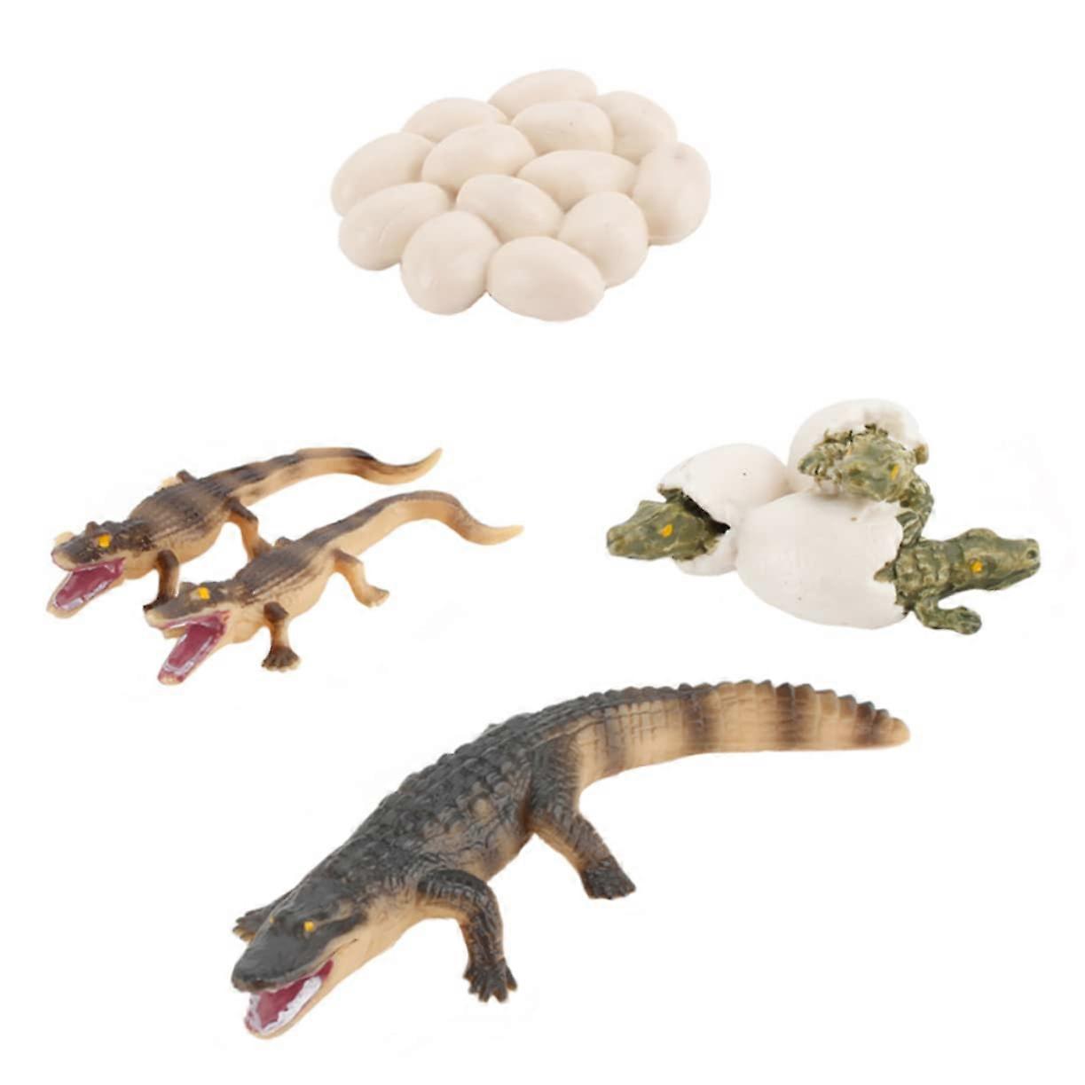 Model Toy Set for Detailed Replicas of Animal Growth - Educational, Safe, and Creative Playtime Hours