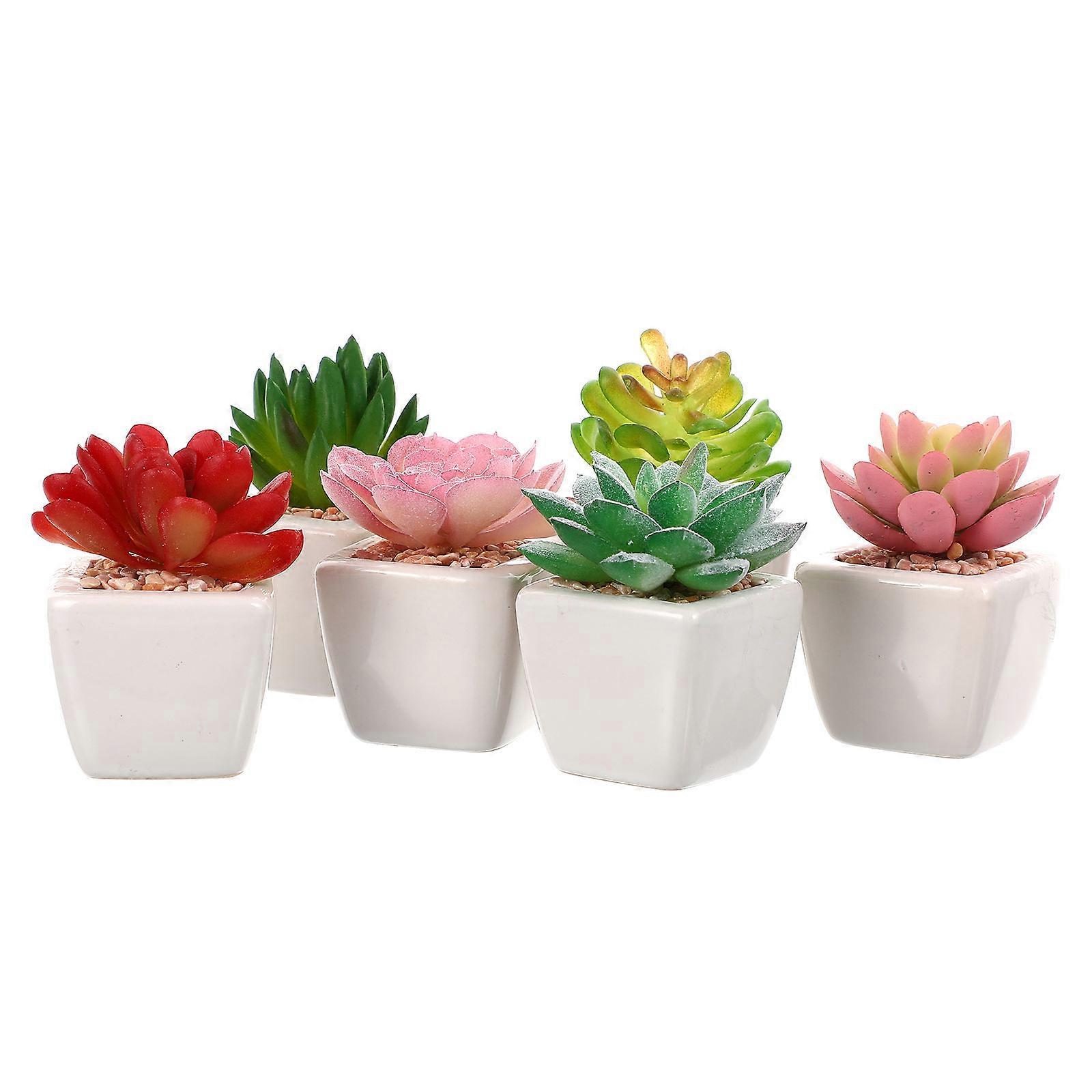 Artificial Micro Succulent Bonsai Simulation Potted Plants Vibrant Colour Realistic Touch 6Set