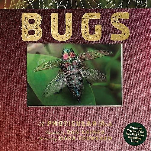 Bugs by Mara Grunbaum Hardback Book