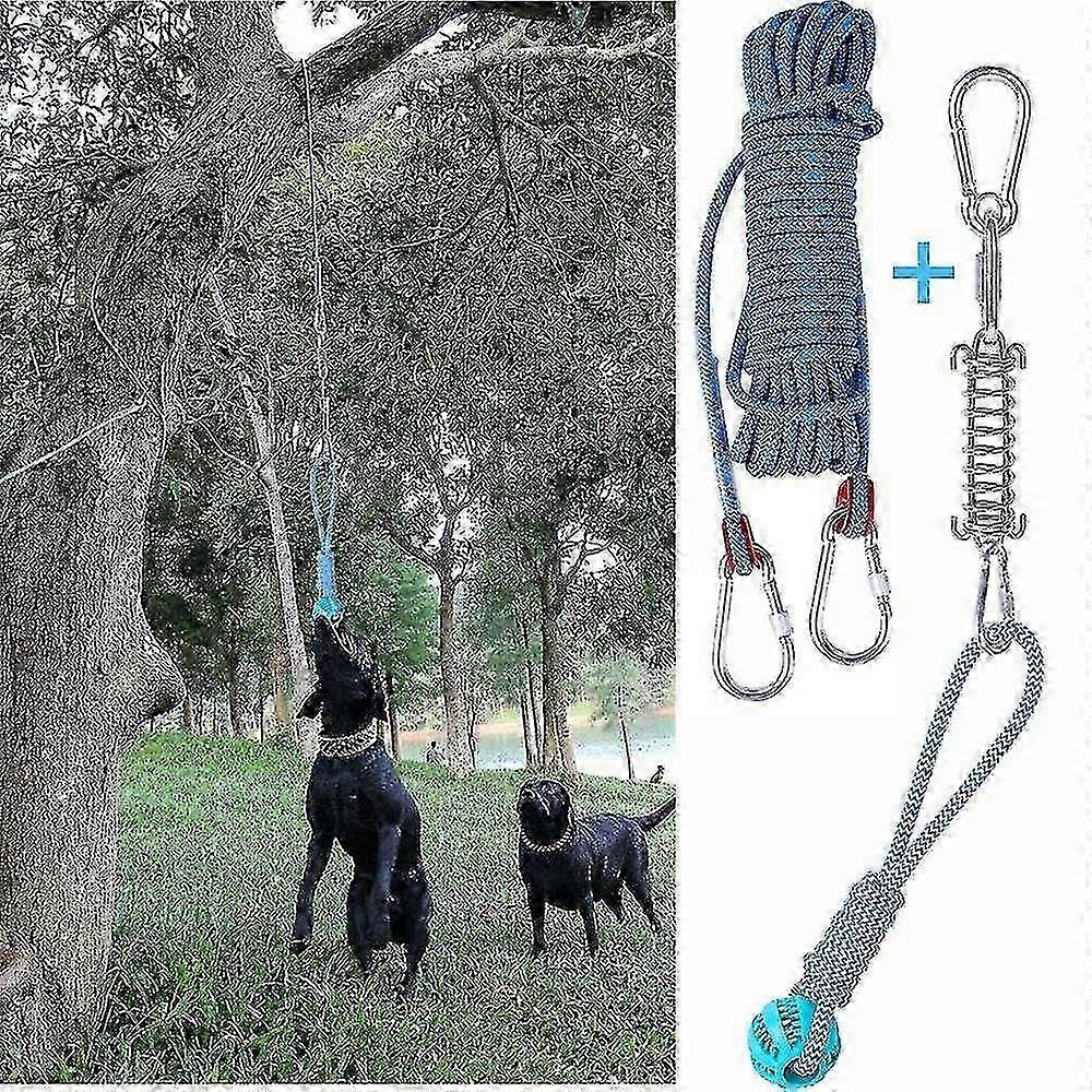 Ensemble de jouets à ressort pour chien, exercice d'extérieur suspendu, corde en coton, jouet de dentition pour chien