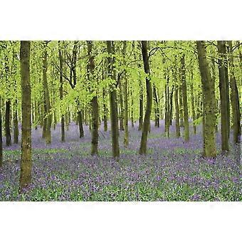 Memo Block - Bluebells - Peony Press