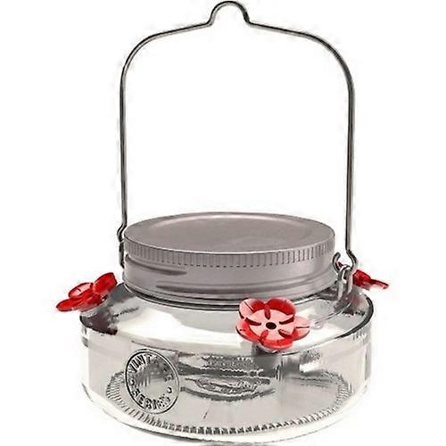 Audubon Vintage Mini Mason Jar Glass Hummingbird Feeder, 12 Oz, Assorted