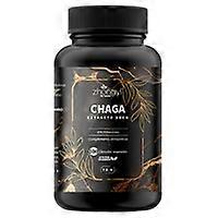Chaga dry extract 500mg 100 vegetable capsules