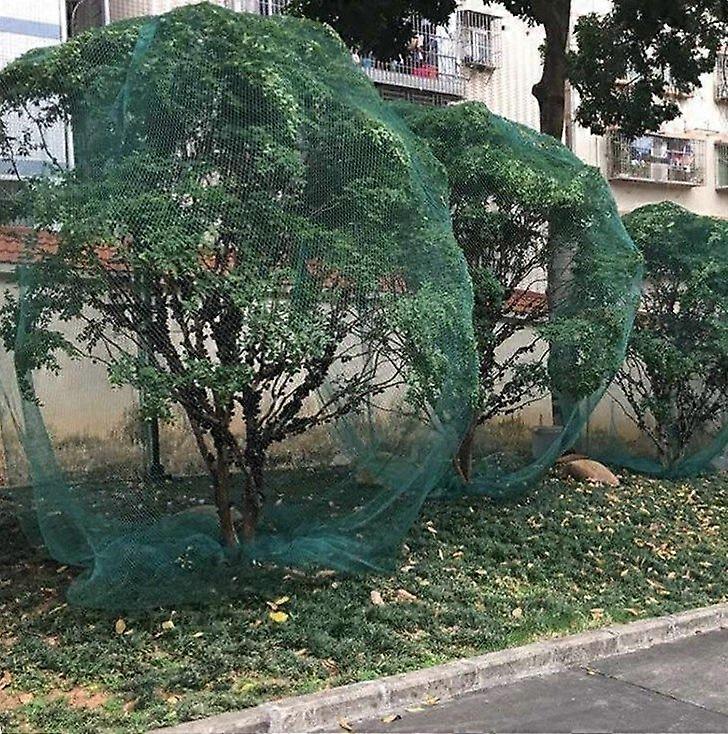 (4m x 4m) Protective net for cultivation