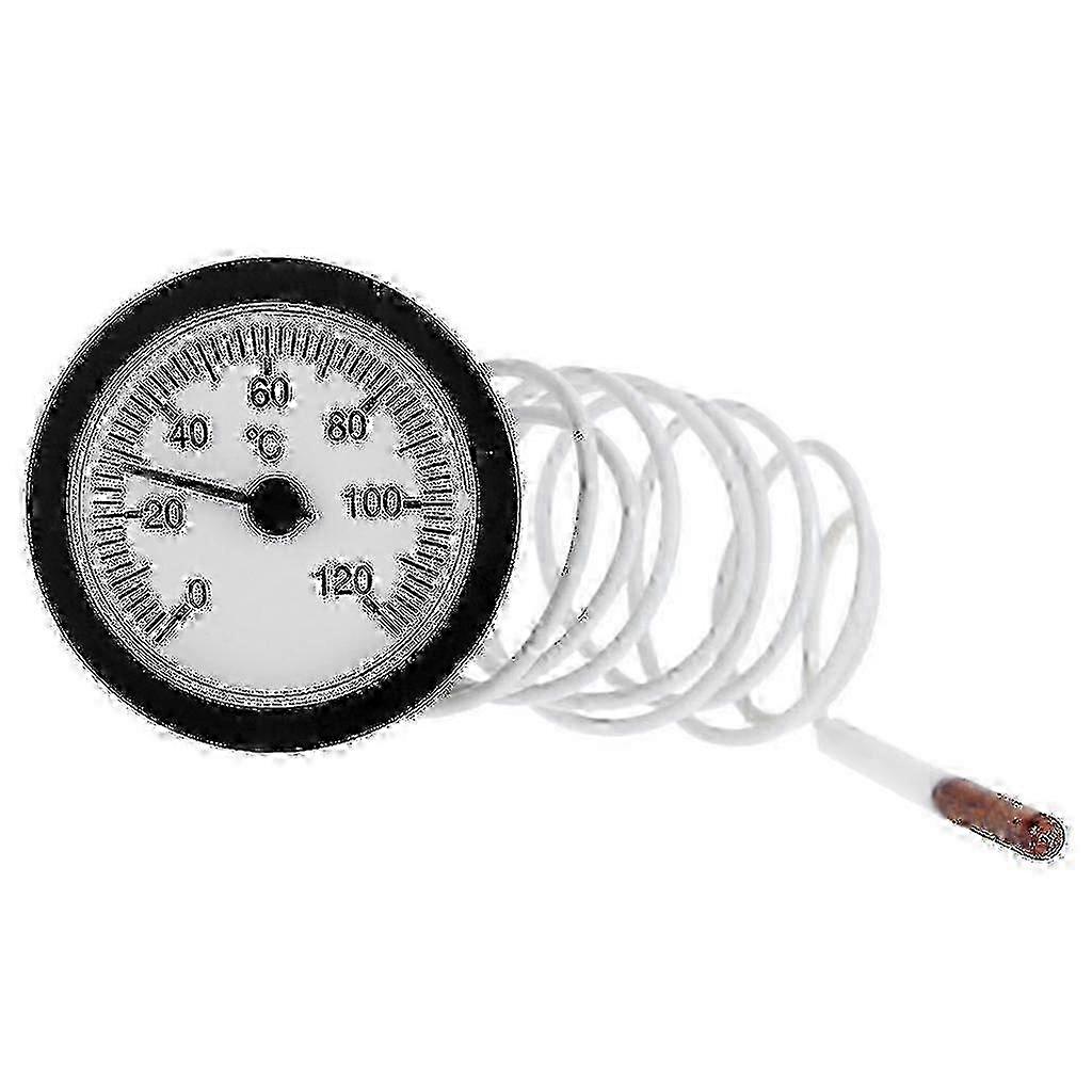 Flexible Capillary Thermometer 0-120C