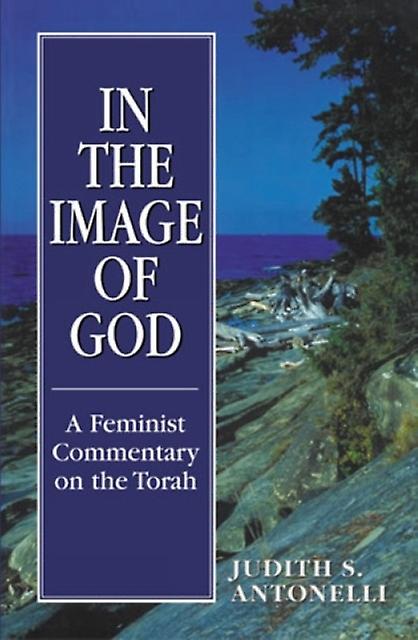 In The Image Of God by Judith S. Antonelli Paperback Book
