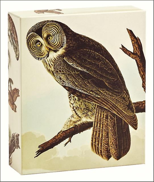 Audubon Owls Quicknotes by John James Audubon Cards Book