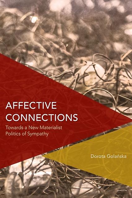 Affective Connections by Dorota Golanska Paperback Book