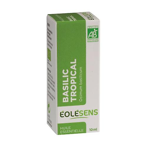 Tropical basil 10 ml of essential oil
